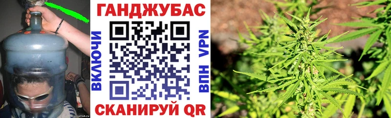 Канабис гибрид Гусиноозёрск